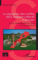 La régulation des conflits dans l'espace collectif marocain: Entre l'endogénéité du droit et le positivisme (Logiques Juridiques) (French Edition) 2140347250 Book Cover