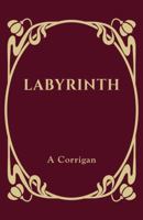 Labyrinth 178589899X Book Cover