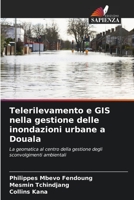 Telerilevamento e GIS nella gestione delle inondazioni urbane a Douala 6206224392 Book Cover