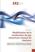 Moda(c)Lisation de La Combustion Du Gaz Naturel Par Ra(c)Seaux de Ra(c)Acteurs 613156762X Book Cover