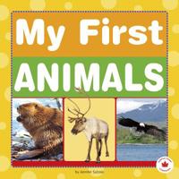 My First Animals 1623705444 Book Cover