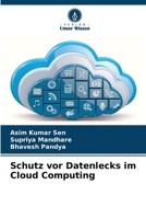 Schutz vor Datenlecks im Cloud Computing (German Edition) 620949563X Book Cover