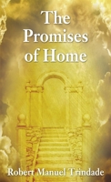 The Promises of Home 1400328586 Book Cover
