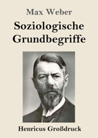 Soziologische Grundbegriffe (Gro�druck) 3847844962 Book Cover