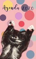 Cat Agenda 2020 : Cat Planner 2020: 2020 Weekly Planner: Cute Cat Themed Cat Journal Cat Lover Gifts 1670312216 Book Cover
