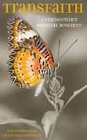 Transfaith: A Transgender Pastoral Resource 0232533113 Book Cover