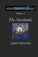 Pandemonium: Volume 4 The Neverlands B08QFLFV2Y Book Cover