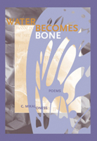 Water Becomes Bone (The New Issues Press Poetry Series) 093282689X Book Cover