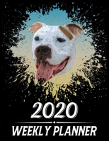 2020 Weekly Planner: Weekly & Monthly 2020 Planner Jan 1 2020 to Dec 31 2020 With Month, Week Views, 1 Year Planner + Important Holiday Dates, Pitbull Dog Cover 1676318216 Book Cover