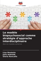 Le modèle biopsychosocial comme stratégie d'approche interdisciplinaire (French Edition) 6208333253 Book Cover