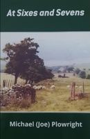 At Sixes and Sevens 1035887207 Book Cover
