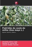 Podridão do caule do milho (Zea mays L.): Espinal, Veracruz, México 6206330672 Book Cover