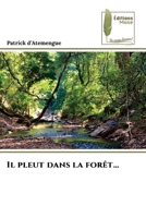 Il pleut dans la forêt... (French Edition) 6208851351 Book Cover