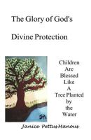 The Glory of God's Divine Protection 1732437939 Book Cover