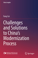 Challenges and Solutions to China’s Modernization Process (China Insights) 9819991404 Book Cover