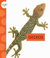 El Geco (Geckos) 1681522179 Book Cover