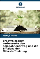 Bradyrhizobium verbesserte den Sojabohnenertrag und die Effizienz der Nährstoffnutzung 6205727552 Book Cover