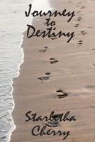 Journey TO Destiny 151706824X Book Cover