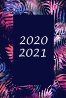 2020 / 2021: Schulplaner / Studienplaner f�r das Jahr 2020 und 2021 / Tagesplaner f�r zwei Jahre 1706320396 Book Cover