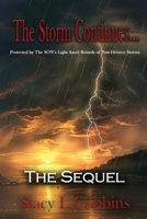 The Storm Continues... The Sequel: Protected by The Son's Light Amid Rounds of Post-Divorce Storms B0GPMGKX7K Book Cover