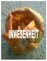 Inwesenheit: Perinzendenz statt Transzendenz 373577735X Book Cover