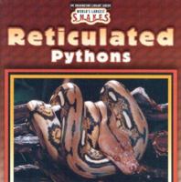 Reticulated Pythons (World's Largest Snakes) 0836836561 Book Cover