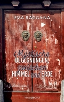 Mystische Begegnungen, zwischen Himmel und Erde (German Edition) 390293591X Book Cover