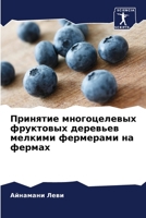 Принятие многоцелевых ф& 6205666162 Book Cover