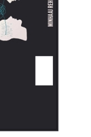 Use of Psychometrics in Recruitment B09TMTLJ8H Book Cover