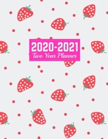 2020-2021 Two Year Planner: Handy 24-Month Planner & Calendar Large 8.5 x 11 (Jan 2020 - Dec 2021) Daily Weekly and Monthly Schedule Art Cover 00023187 1712925385 Book Cover