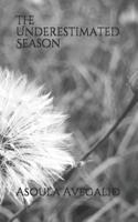 The Underestimated Season: Singleness 1092994033 Book Cover