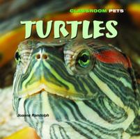 Turtles 1404236775 Book Cover