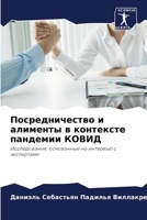 Посредничество и алименты в контексте пан 6203668079 Book Cover