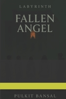 Labyrinth- The Fallen Angel B0FC6L1ZZR Book Cover