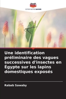 Une identification préliminaire des vagues successives d'insectes en Égypte sur les lapins domestiques exposés 620642717X Book Cover