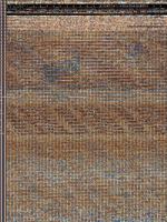 Assimilation: Book I of the Paladin Chronicles 1490834915 Book Cover