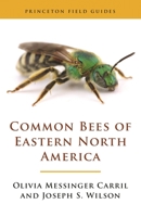 Common Bees of Eastern North America 0691218692 Book Cover