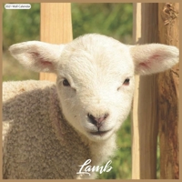 Lamb 2021 Wall Calendar: Official Sheeps 2021 Wall Calendar 18 months B08RRDF6TG Book Cover