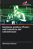 Gestione pratica (Prod.) nell'industria del calcestruzzo 6205270196 Book Cover