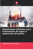 Membranas híbridas para tratamento de água e separação de gases (Portuguese Edition) 6209870155 Book Cover