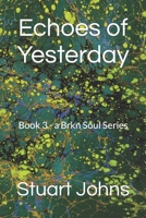 Echoes of Yesterday: Book 3 - a Brkn Soul Series B0CCCMTL7Y Book Cover