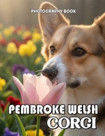 Pembroke Welsh Corgi Photography Book: Heartwarming Real Life Images Of Pembroke Welsh Corgis In Action B0GR3WV95J Book Cover
