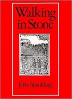 Walking in Stone (Wesleyan New Poets) 0819521744 Book Cover