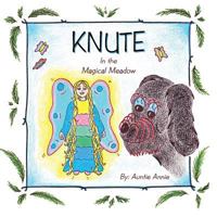 Knute: In the Magical Meadow 1466997788 Book Cover