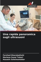 Una rapida panoramica sugli ultrasuoni (Italian Edition) 6207176936 Book Cover