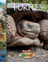 Turtles 1645827747 Book Cover