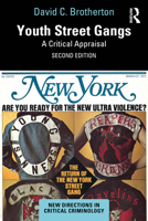 Youth Street Gangs: A Critical Appraisal (New Directions in Critical Criminology) 1032695579 Book Cover