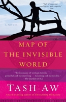 Map of the Invisible World 0385527977 Book Cover