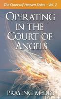 Operating in the Court of Angels (Courts of Heaven #2) 0998091243 Book Cover