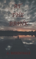 At the Brink: On the Brink Book 3 B0BNDTSH6Y Book Cover